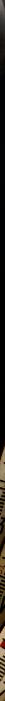 JanePassportx13